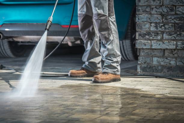 Best Soft Washing  in Beecher, MI